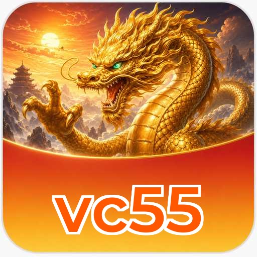 Fitur vc55